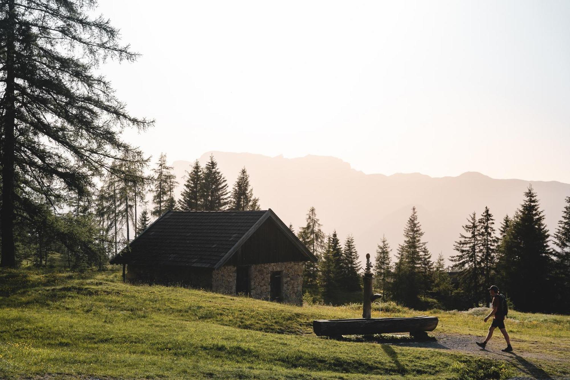 Апартаменты Woelzenberg Alm Райт  Экстерьер фото